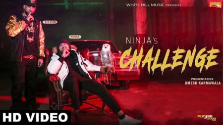 Challenge--Ninja